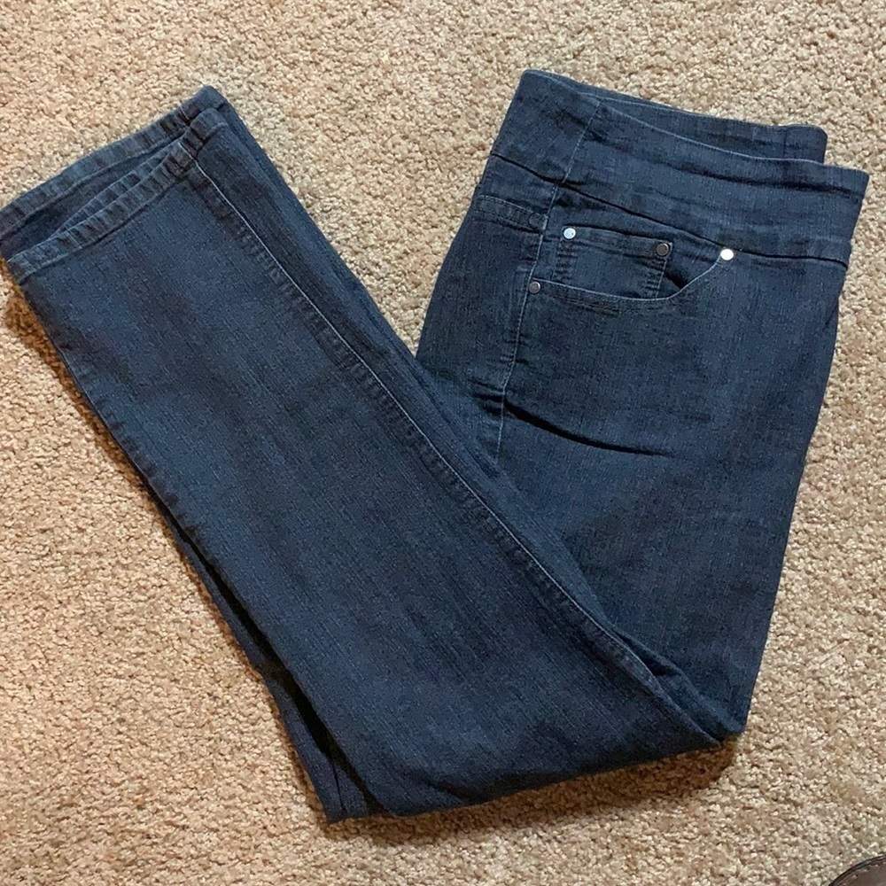 Women’s Stretch Jagjeans 40 inch waist Curvy
